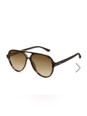 Vintage-Inspired Brown Sunglasses